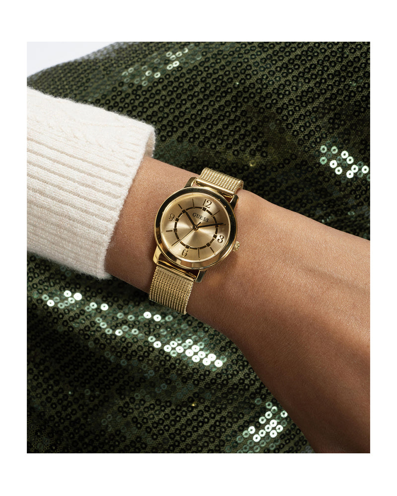 Guess Womens Watch – GW0666L2